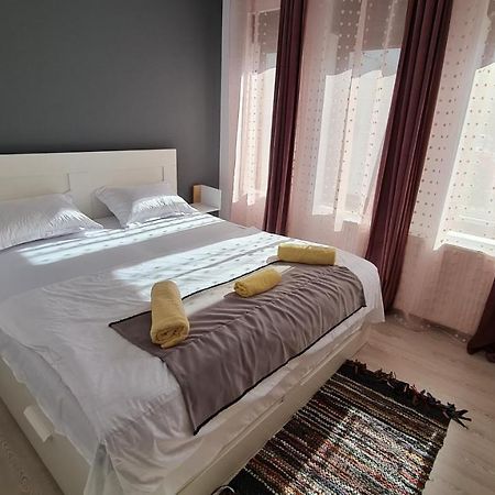 Pomiculturii Residence 1 ティミショアラ エクステリア 写真